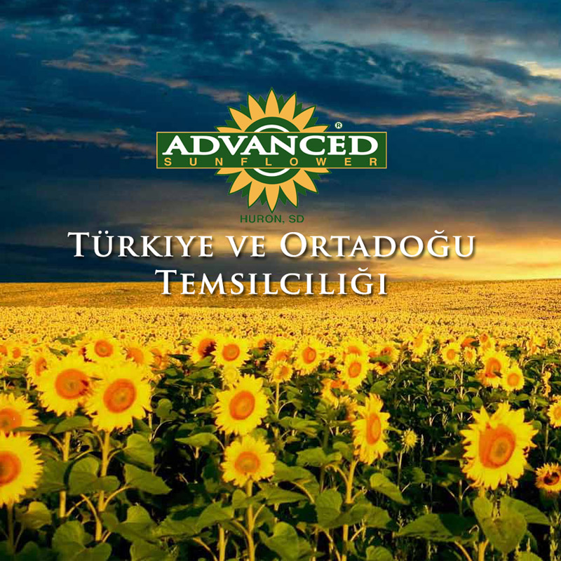 Advanced Sunflower Türkiye ve Ortadoğu temsilciliği