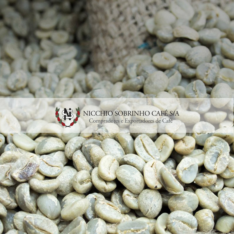 Nicchio Sobrinho Café S/A